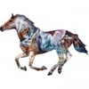 Image de SunsOut The Mystery of the Horse 95973
