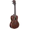 Image de Kala Striped Ebony Concert ukelele
