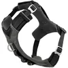 Image de Kurgo Harnais pour Chiens Journey Air, pour la randonnée, courir et marcher tous les jours, réfléchissant   Noir/gris - Taille S