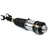 Image de Jambe de suspension pneumatique gauche ARNOTT Europe AS-3369
