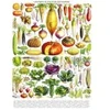 Image de New York Puzzle Company Vegetables - Légumes York-Puzzle-PD635