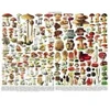 Image de New York Puzzle Company Mushrooms - Champignons York-Puzzle-PD638