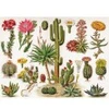 Image de New York Puzzle Company Cacti - Cactus York-Puzzle-PD1833