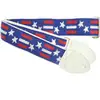 Image de Souldier Stars & Bars gitaarband