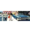Image de New York Puzzle Company Picture Perfect York-Puzzle-GM2343
