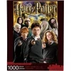 Image de Aquarius Collage Harry Potter Puzzle-65291