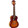 Image de Ortega Earth Series RUDAWN concert ukelele sunburst