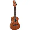 Image de Ortega Horizon Series RUWN concert ukelele met gigbag
