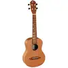 Image de Ortega Timber series RUTI-TE tenor ukelele naturel met tas