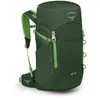 Image de Osprey Jet 28 Vert Canopy Lineline Green OS